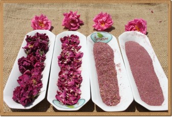 Doğal Kuru Gül yaprakları -500 gr
