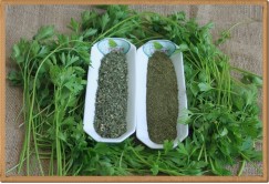 Doğal Kuru Maydanoz - 1 kg
